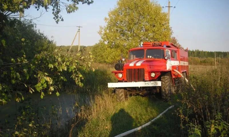 Лесной пожар возник в Межевском районе Костромской области