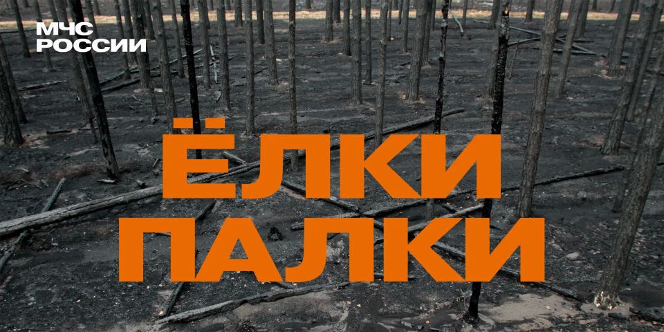 МЧС России предупреждает! В области введен особый противопожарный режим