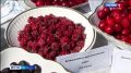 Селекция ягод в Костроме сулит аграриям сладкие перспективы