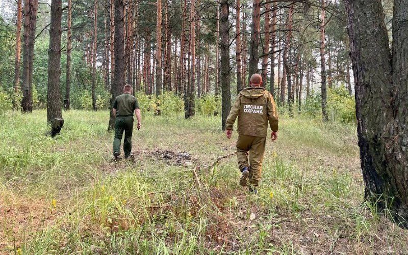 В Костромской области вводится особый противопожарный режим
