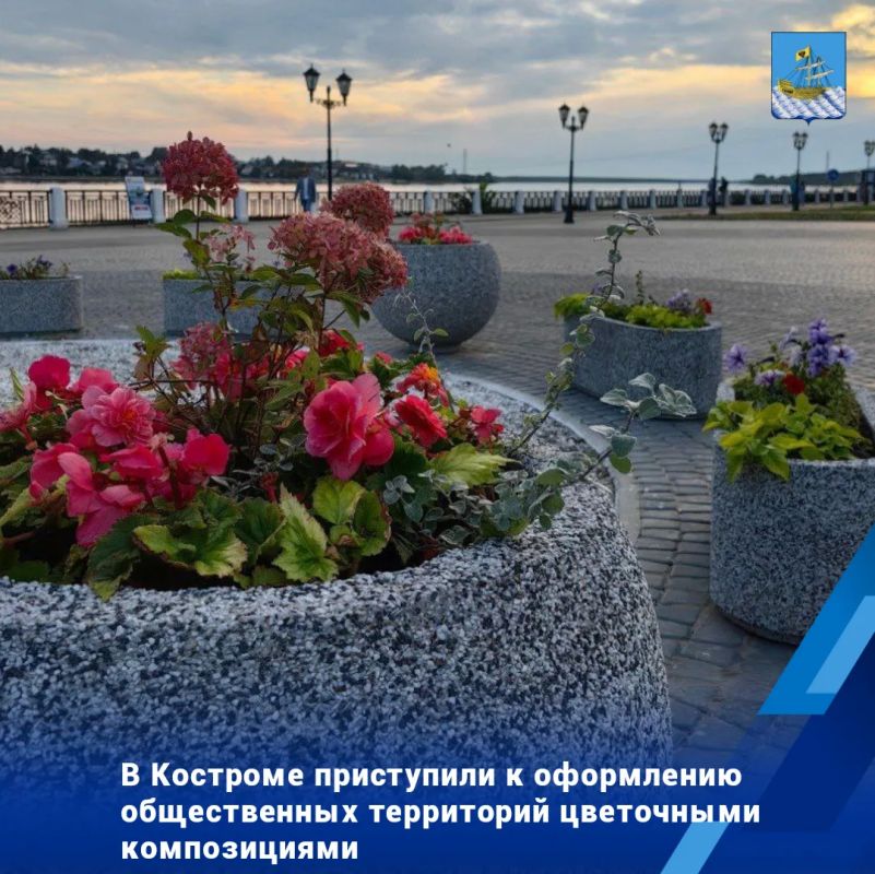 Специалисты МКУ «Чистый город» планируют высадить 108 тысяч однолетников и 750 многолетних кустов