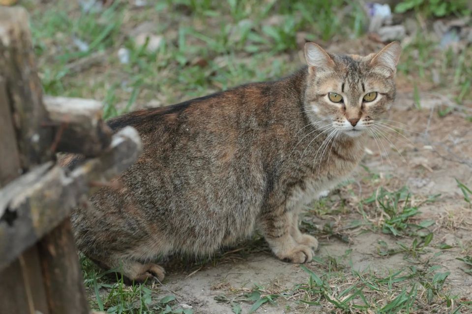 Лето пришло в регион со стороны Костромы