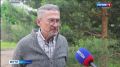По Костроме разгуливают лоси