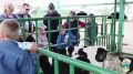 В День защиты детей костромские полицейские подарили праздник ребятам, оказавшимся в трудной жизненной ситуации