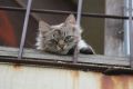 В Костромской области возможны локальные дожди
