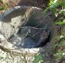 ЛОСЁНОК УПАЛ В КОЛОДЕЦ В КОСТРОМСКОЙ ОБЛАСТИ