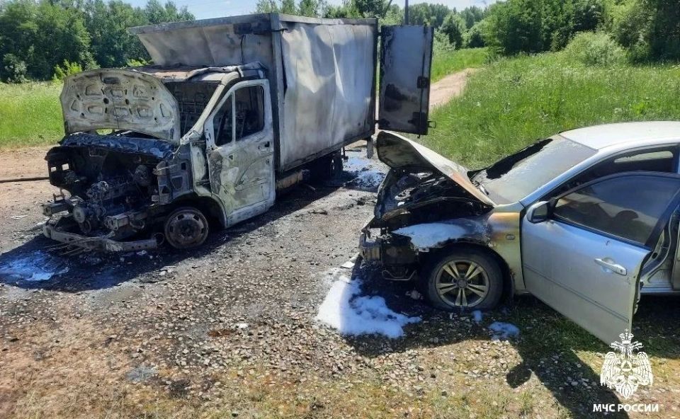 В Костромском районе огонь уничтожил две машины В Костромском районе огонь уничтожил две машины