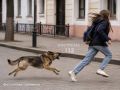 ДЕВОЧКА-ПОДРОСТОК ПОЛУЧИТ КОМПЕНСАЦИЮ ОТ АДМИНИСТРАЦИИ КОСТРОМЫ ЗА НАПАДЕНИЕ БРОДЯЧЕЙ СОБАКИ