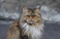 В Кострому нагрянула сентябрьская погода