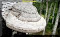 ��� ������� ���������� � ����: ������� ��������� ������
