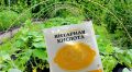 Янтарная кислота: секрет крепких и сочных томатов без химии