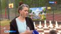 Шахматный сквер появился в Костроме в микрорайоне Венеция