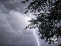 ��������� ������������ �����