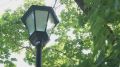 В парке на улице Городской в Костроме стало нестрашно по вечерам