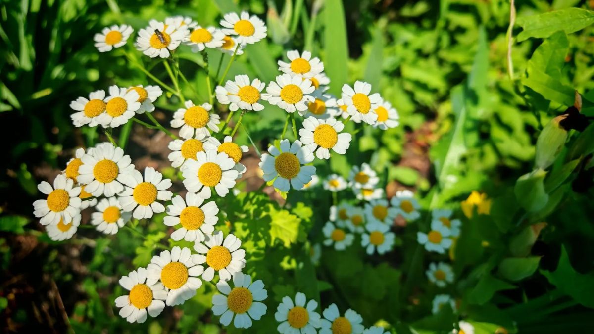 В усадьбе Ратьковых на улице Городской построили современное уличное освещение В усадьбе Ратьковых на улице Городской построили современное уличное освещение