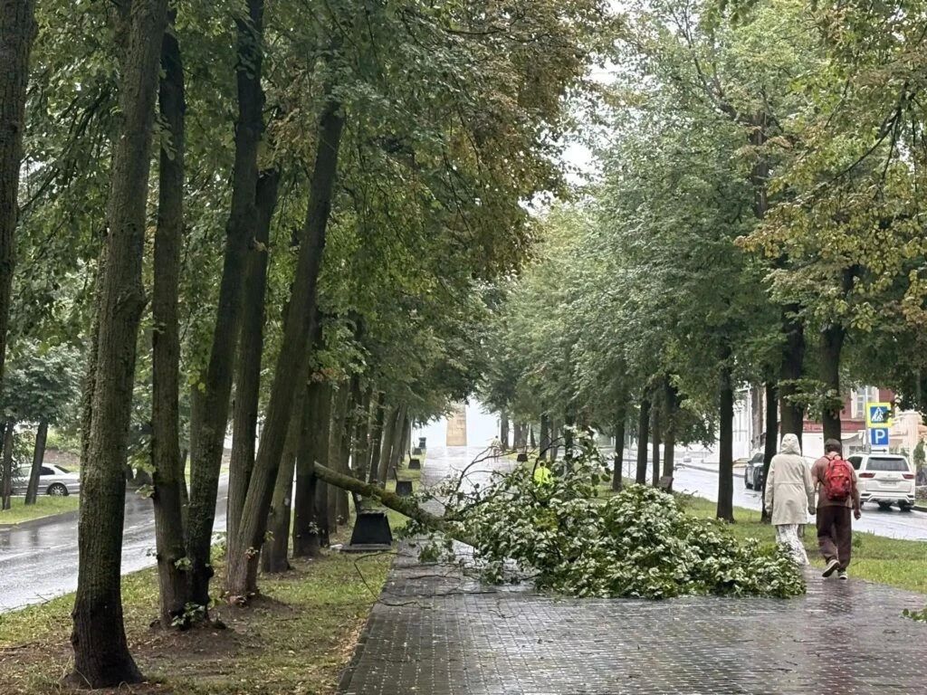 В КОСТРОМСКОЙ ОБЛАСТИ ИЗ-ЗА НЕПОГОДЫ ПАДАЛИ ДЕРЕВЬЯ И НЕ РАБОТАЛА МОБИЛЬНАЯ СВЯЗЬ