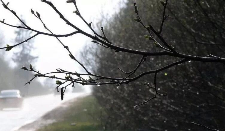 В Костромской области ожидаются грозы и шквалистый ветер