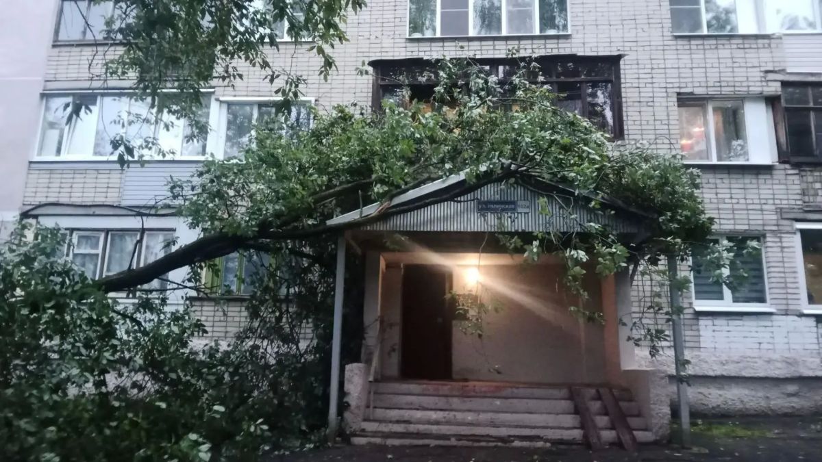 Олег Болоховец: Завершаем работы по устранению последствий вчерашней непогоды Олег Болоховец: Завершаем работы по устранению последствий вчерашней непогоды