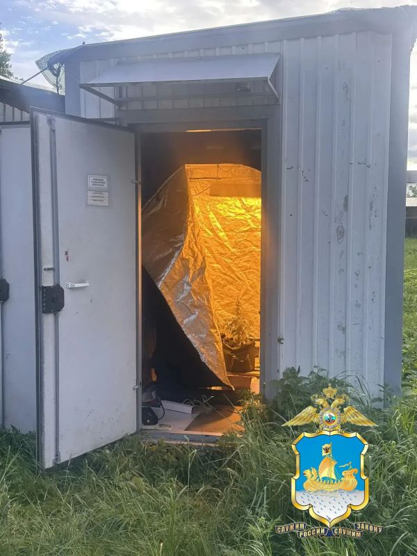 Сотрудники полиции пресекли незаконное выращивание и хранение марихуаны Сотрудники полиции пресекли незаконное выращивание и хранение марихуаны