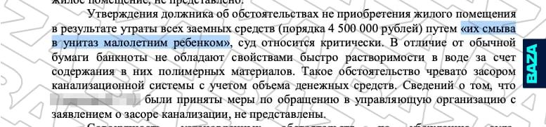 4,5 млн рублей смыл в унитаз ребёнок — так утверждает экс-сотрудница костромской прокуратуры, которая погрязла в долгах и кредитах