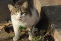 Следующая неделя в Костроме начнется с очередных дождей