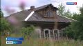 Из Кейптауна в Деревеньки: гости из Африки стали хранителями русского зодчества в Костромской области