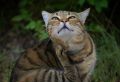Август в Костроме начнется с чистого неба