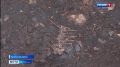 Галичская земля вновь преподносит археологические сюрпризы