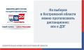 Начался прием заявлений на участие в дистанционном электронном голосовании