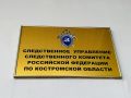 Следователем регионального СК возбуждено уголовное дело по информации о нападении собаки на местных жителей в городе Буе