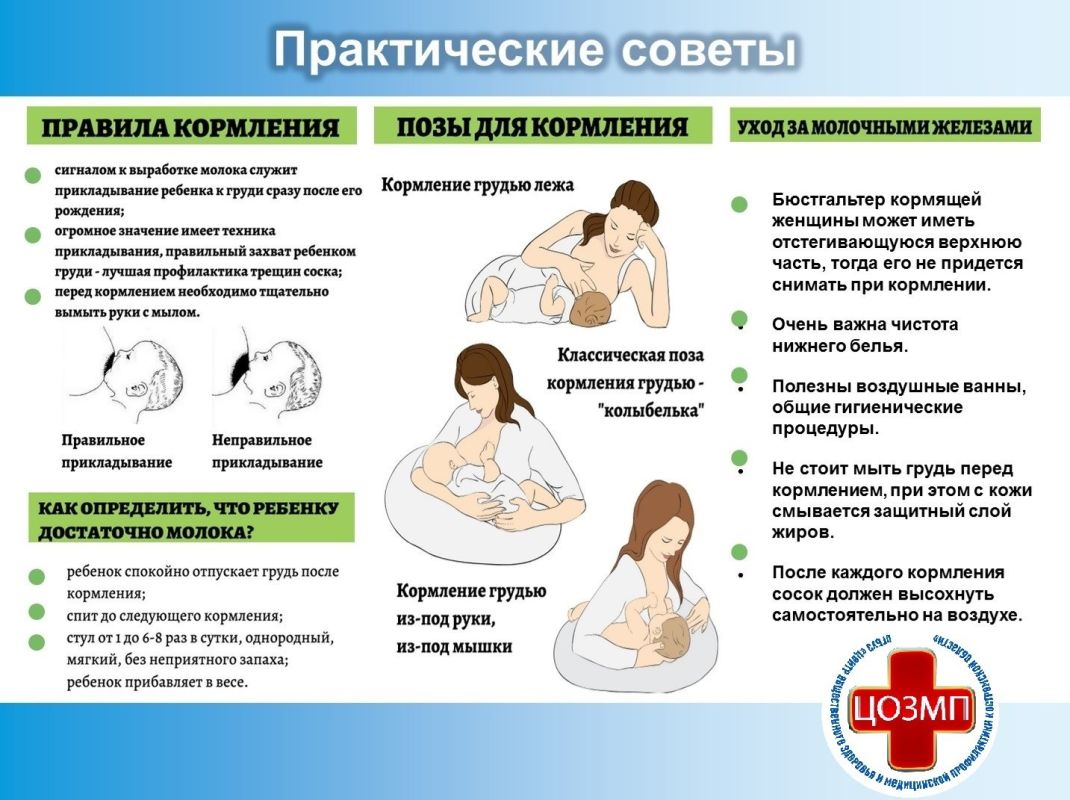 В Костроме проходит Неделя популяризации грудного вскармливания В Костроме проходит Неделя популяризации грудного вскармливания