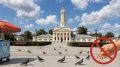 В Костроме продолжается системная работа по наведению чистоты и порядка