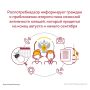 Роспотребнадзор информирует: второй пик активности клещей ожидается в конце августа — начале сентября