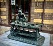 МАЗАЙСКИЙ ЗАЯЦ-КРАСНОДЕРЕВЩИК ПОСЕЛИЛСЯ В КОСТРОМЕ