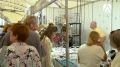 ОТ БИЖУТЕРИИ ДО ПРЕМИУМ-УКРАШЕНИЙ: ЧТО ПРИВЕЗЛИ НА ЮВЕЛИРНЫЙ ФЕСТИВАЛЬ В КОСТРОМУ