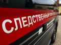 В Костроме завершено расследование уголовного дела в отношении подростка, обвиняемого в неправомерном обороте средств платежей