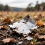 ГРИБНИКИ НАШЛИ УПАВШИЙ БЕСПИЛОТНИК В КОСТРОМСКИХ ЛЕСАХ