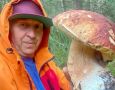 КОСТРОМИЧ НАШЕЛ В ЛЕСУ ГИГАНТСКИЙ БЕЛЫЙ ГРИБ