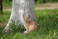 Костромичей ждут последние теплые выходные этого лета