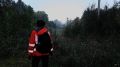 ПРОПАВШЕГО В КОСТРОМСКОМ ЛЕСУ ПЕНСИОНЕРА НАШЛИ ЖИВЫМ