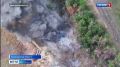Воссозданный в Костроме десантный полк бьет ВСУ в Запорожской области