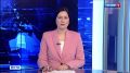 Лунтик ищет папу: костромичи могут оценить новые приключения милого инопланетянина
