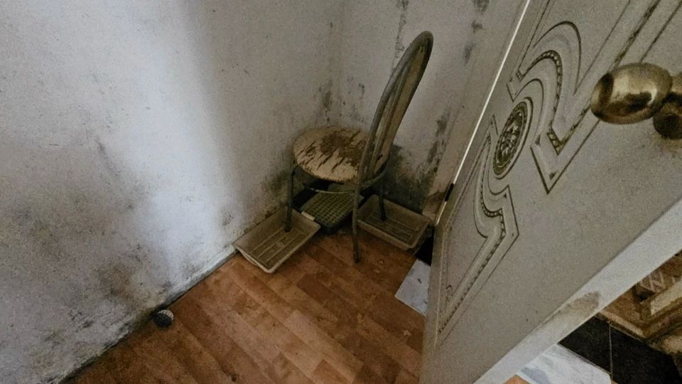 «Жили в собственных фекалиях и моче»: в Костроме три службы и два приюта объединились для спасения десятков животных из дома «плодилки» «Жили в собственных фекалиях и моче»: в Костроме три службы и два приюта объединились для спасения десятков животных из дома «плодилки»