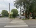 С НАЧАЛА ГОДА В КОСТРОМЕ СБИЛИ 81 ПЕШЕХОДА