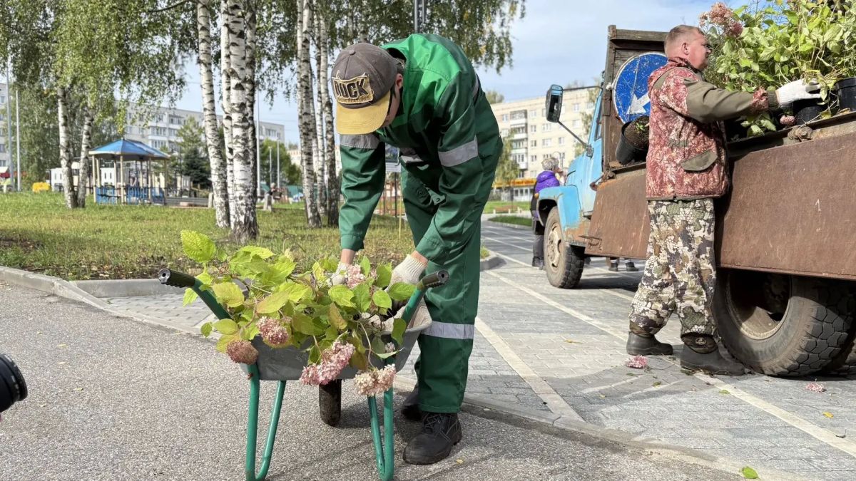 Олег Болоховец: Сегодня приступили к озеленению обновленного сквера «Юбилейный» Олег Болоховец: Сегодня приступили к озеленению обновленного сквера «Юбилейный»