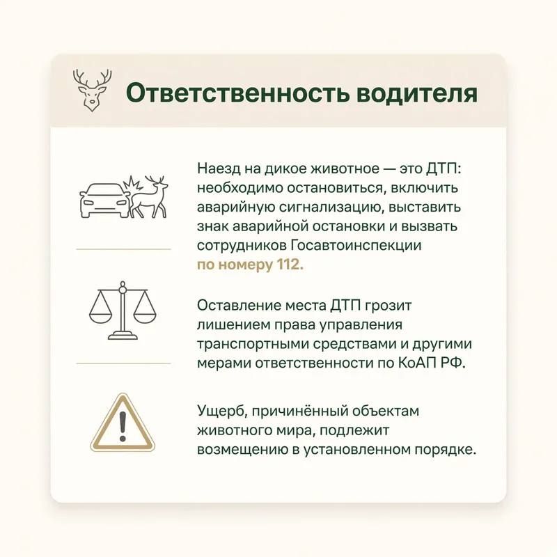 Автоинспекторы Костромской области напоминают, как избежать ДТП с животными Автоинспекторы Костромской области напоминают, как избежать ДТП с животными