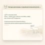 Автоинспекторы Костромской области напоминают, как избежать ДТП с животными