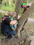 В Костроме шестилетний мальчик намертво застрял ногой в дереве во время прогулки
