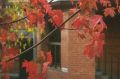 ������ � �������� � �������, 18 �������� 2026 ����: �������� ����� �������� �����