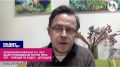 Зеленский произнёс немыслимое: за такое пару лет назад сжигали заживо – галичанин-русофоб